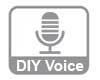 DIY-Voice